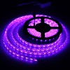 С^FُɫLED/W(xu)У LED